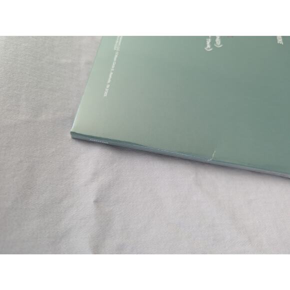 Kelsea Ballerini Vinyl The First Time Tri Color 2LP Anniversary Limited Edition - Picture 7 of 16